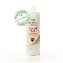 יודיבה החלקת שיער בוסט פרו 1 BOOST - PRO לשיער טבעי בנדה קוסמטיקס