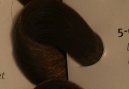 צבע לשיער שוורצקופף מספר 5.6