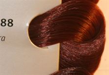 צבע לשיער שוורצקופף מספר 5.88