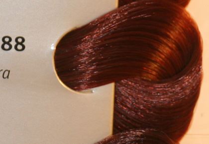 צבע לשיער שוורצקופף מספר 5.88