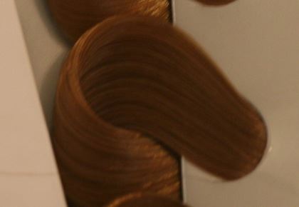 צבע לשיער שוורצקופף מספר 8.65