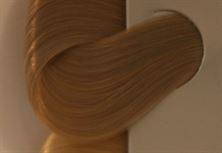 צבע לשיער שוורצקופף מספר 12.2