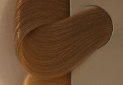 צבע לשיער שוורצקופף מספר 12.2