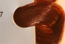 צבע לשיער שוורצקופף מספר 6.77