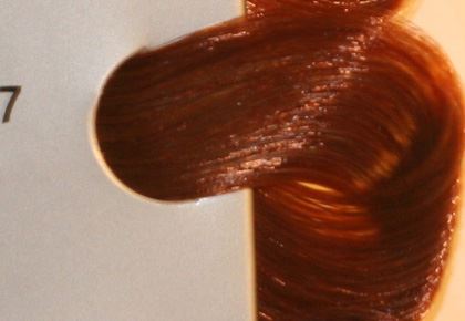 צבע לשיער שוורצקופף מספר 6.77