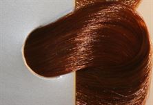 צבע לשיער שוורצקופף מספר 7.70 בנדה קוסמטיקס