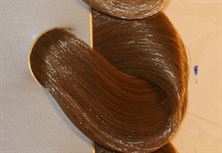 צבע לשיער שוורצקופף מספר 9.50 בנדה קוסמטיקס